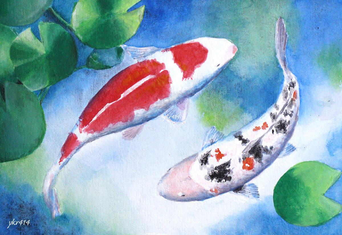 鯉」をアクリル絵の具で描きました 水彩風のアクリル画 ｜ 毎日水彩画