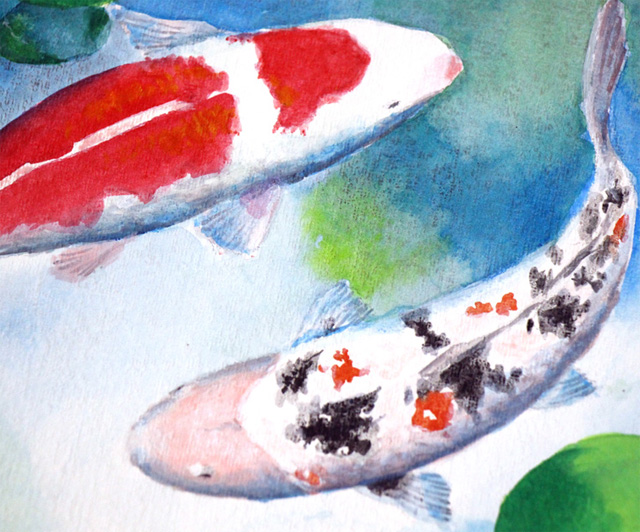 鯉 をアクリル絵の具で描きました 水彩風のアクリル画 毎日水彩画